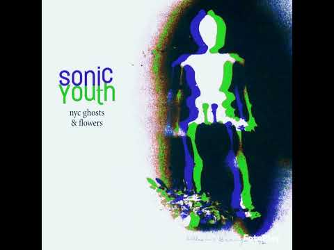 Sonic Youth - Nevermind (What Was It Anyway) (Instrumental)