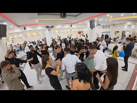 Tokat almus alan köyü yukarı alan mahallesi sadettin develi kızı berfin nişan 8 erik dalı karışık 👏