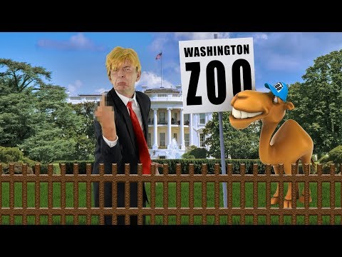 Trump Trump Trumpeltier Trump Song Wiesn Hit 2018