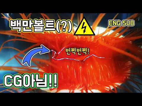 아이콘