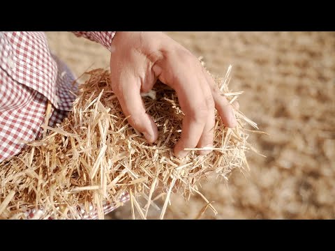 T670i with PremiumFlow - Performance Testing on the Baltic Coast | John Deere