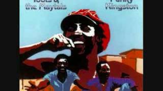 Toots &amp; The Maytals - I Can&#39;t Believe