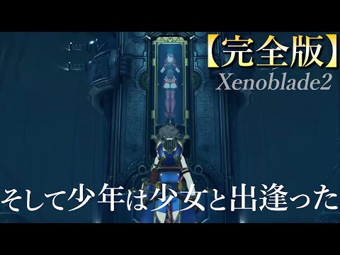 フィセナ科について詳しく解説