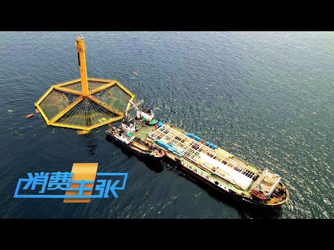 深水网箱、养殖工船&hellip;&hellip;中国海洋牧场藏有多少黑科技吗？「消费主张」20230320 | 财经风云