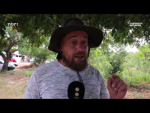 Voedselbossen Curaçao helpen ook immigranten integreren