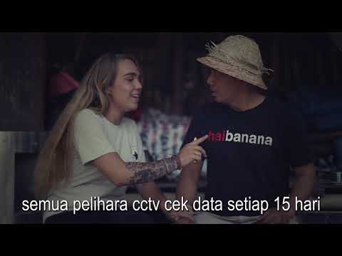 disana-ada-itu-disini-ada-ini-haipuja-haibanana-puja-astawa