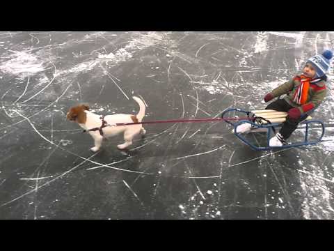 27. ledna 2014 16:07