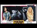 Shakira Trap Remix Ft Maluma Future Ariana Grande