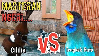 Download lagu MASTERAN CILILIN SAMBUNG TENGKEK BUTO MUDAH MASUK mp3 Download lagu MASTERAN CILILIN SAMBUNG TENGKEK BUTO MUDAH MASUK mp3