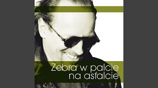 Zebra w palcie na asfalcie Music Video