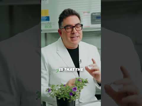 This Innocent Garden Flower Might Be Growing Psychedelic Fungi