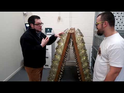 Kings of Mead odc.45 - Z wizyta w miodosytni (Northumberland Honey co.)