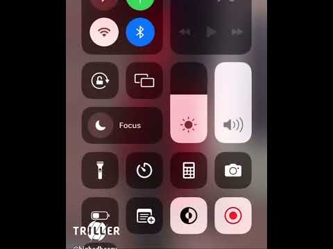 Beezy b -free black gwaluh{snippet}