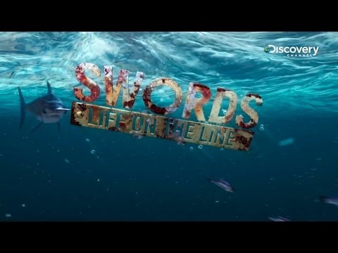 Swords Life On The Line | Viewer's Choice Top 20