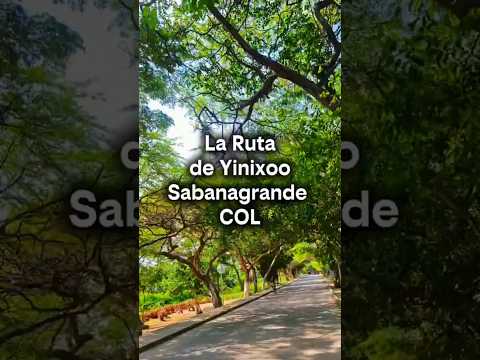 La Ruta de Yinixoo - Llegamos a Sabanagrande, Atlántico Colombia