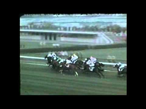Prix de l'Arc de Triomphe 1986 - Dancing Brave