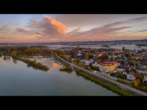 Mein Au an der Donau