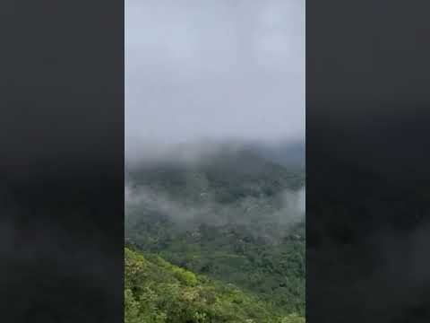 Nature 🍃 #viral #travel #shortsvideo #nature #enjoy #like #kannur #family #trending #youtubeshorts