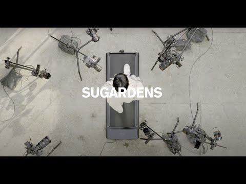 ZIGGY CHEN | SUGARDENS