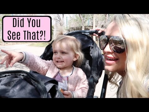 ARE YOU KIDDING ME? | DAY IN THE LIFE | AARYN WILLIAMS Video
