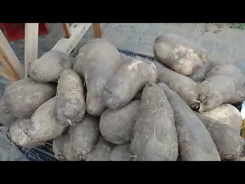 Feira livre da cidade de alagoa grande. PB. 03/12/25.🌵🤠