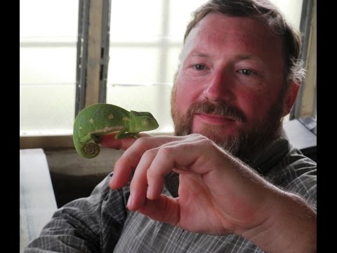 007 Thank you Sue Dunhill, eBay disappointment & Piping Meditations with Shout out to PublicPiper