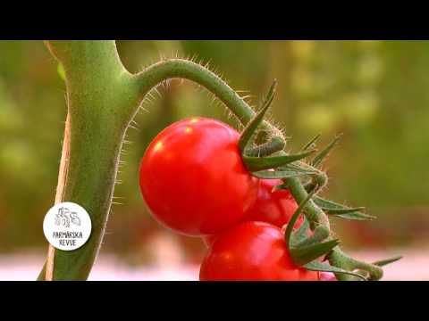 , title : 'Farmarska revue pestovanie paradajok'