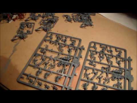 Seraphon Cold One Riders/Saurus Knights Unboxing