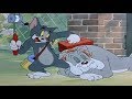Tom Jerry Smarty Cat Tom And Jerry Episode 95