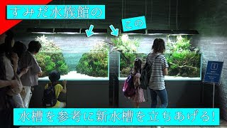 すみだ水族館にADA水草レイアウト水槽を見に行く