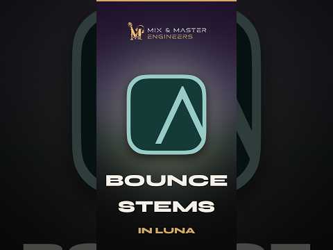 Video: how to export stems in LUNA