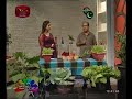 nugasewana-mal-wagawa-31-05-2019