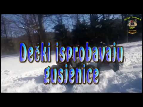 351.DEČKI ŽUTNICE - Dećki isprobavaju gusjenice-Ivanjščica