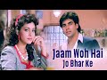 Jaam Woh Hai Jo Bhar Ke Sainik Akshay Kumar Ashwini Bhave Kumar Sanu 90 S Hits