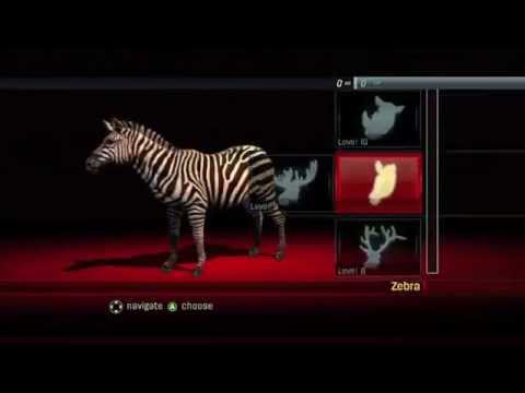 cabela's hunting expeditions wii walkthrough