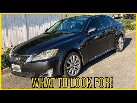 What To Look For When Buying a Lexus 2IS!