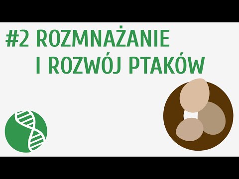 , title : 'Rozmnażanie i rozwój ptaków #2 [ Ptaki ]'