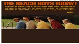 Don&#39;t Hurt My Little Sister  THE BEACH BOYS