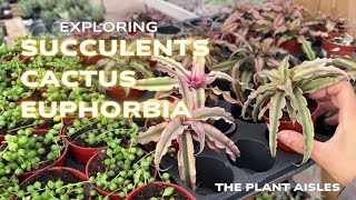 Succulents, Euphorbia & Cacti Plant Aisle || 2025 The Plant Aisles Season 2 Episode 4