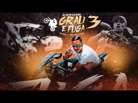 Mc Dia de Maldade - Grau e E Fulga 3 (Áudio Oficial) Dj Nog, T-aga, Dj Lobão zl