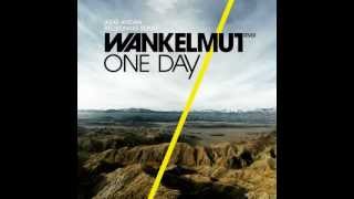 Asaf Avidan & the Mojos - One Day / Reckoning Song (Wankelmut Remix) (Club Mix)