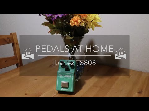 Pedals At Home - Season 01 - Episode 06 - Ibanez TS808