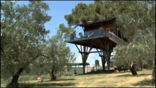 Tour nelle case sull'albero