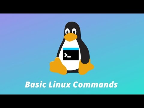 Basic Linux commands for beginners
