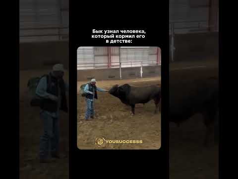 Узнал человека, который кормил его в детстве #животные