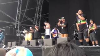 RAGGAMUFFIN 2013 Swiss - Blue Bayou