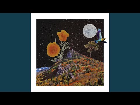 Video thumbnail for ​fly fly away