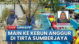 Wisatawan Jakarta Kepincut Kebun Anggur di Tirta Sumberjaya Cipangalun Saat Libur Lebaran