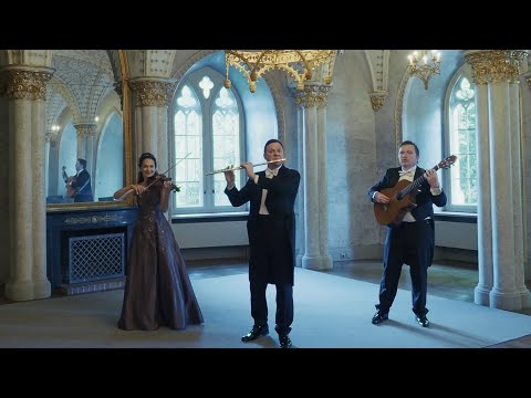 J. Strauss "Radetzky Marsch" Trio "Classic Deluxe" #trioclassicdeluxe #nataschaakinschin #strauss