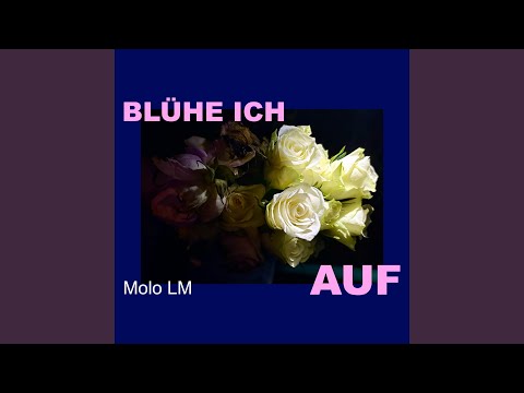 Blühe Ich Auf - Molo LM